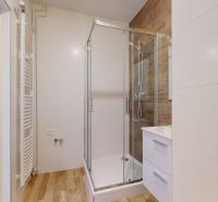 1-izbový byt 39.7m2, ul. Cukrovarská | Trenčianská Teplá - Kúpeľňa s preskleným sprchovým kútom a podlahou s dreveným dekorom v 1-izbovom byte.