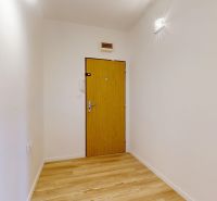 1-izbový byt 39.7m2, ul. Cukrovarská | Trenčianská Teplá - Vstupná chodba s dverami a podlahou s dreveným dekorom v 1-izbovom byte.