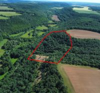 Domaníky – 49.000 m2 LESNÝ REKREAČNÝ POZEMOK v podiele 1/1 - V Domaníkoch sa nachádzajú poľnohospodárske a lesné pozemky s hustým zalesnením a políčkami.