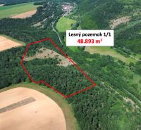 Domaníky – 49.000 m2 LESNÝ REKREAČNÝ POZEMOK v podiele 1/1 - Letecký pohľad na lesný pozemok v Domaníkoch s rozlohou 48.893 m².