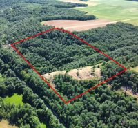 Domaníky – 49.000 m2 LESNÝ REKREAČNÝ POZEMOK v podiele 1/1 - Letecký pohľad na poľnohospodárske a lesné pozemky v obci Domaníky, obklopené zeleňou.