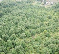 Na predaj 13,8 ha agropôdy v Trebušovciach – 11,5 ha ucelený pozemok  - Letecký pohľad na zelené lesné pozemky v okolí obce Trebušovce.
