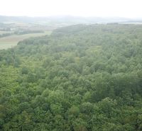 Na predaj 13,8 ha agropôdy v Trebušovciach – 11,5 ha ucelený pozemok  - Rozsiahle lesy a poľnohospodárske pozemky pri Trebušovciach rozprestierajúce sa na zelených údoliach.