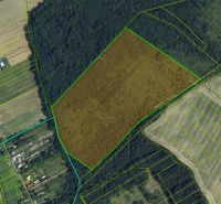 Na predaj 13,8 ha agropôdy v Trebušovciach – 11,5 ha ucelený pozemok  - Letecký pohľad na poľnohospodárske a lesné pozemky v okolí Trebušoviec s parcelnými čiarami.