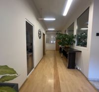Prenájom skladové priestory s kanceláriami od 200 m² – Banská Bystrica - Chodba s podlahou s dreveným dekorom, rastliny a dekoratívne prvky vo výrobných priestoroch.