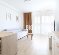 2 izbový byt na predaj Považská Bystrica - Obývacia izba v 2-izbovom byte s podlahou s dreveným dekorom a jednoduchým nábytkom.