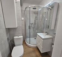Predáme novorekonštruovanú garzonku v Šali - Kúpeľňa v garsónke s modernou sprchou, umývadlom, toaletou a podlahou s dreveným dekorom.