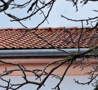 Na predaj 3 i byt so záhradou v Partizánskom – centrum - Strecha so škridlami a konármi v Partizánskom na ulici Rudolfa Jašíka, 3-izbový byt.