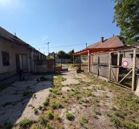 Rodinný dom s veľkým pozemkom v meste Nesvady  - Dvor rodinného domu v Nesvadoch s oplotenými priestormi a betónovým povrchom.