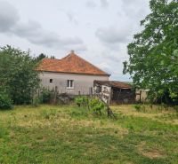 Na predaj rodinný dom Dulovce ! - Rodinný dom v Dulovciach s veľkým dvorom a záhradou, obklopený stromami.