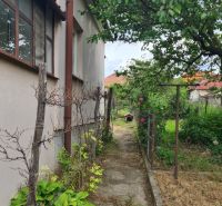 Na predaj rodinný dom Dulovce ! - Záhrada vedľa rodinného domu v Dulovciach s chodníkom a rastlinami.