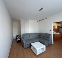 3 izbový byt s balkónom v meste Levice - Štýlová obývacia izba v 3-izbovom byte s podlahou s dreveným dekorom.
