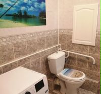 3 izbový byt na sidlisku Stráňany - Kúpeľňa s toaletou a práčkou v 3-izbovom byte, dekoratívny obraz na stene.