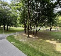 Prenájom pekný 4 izbový byt, Wolkrova ulica, Bratislava V. Petržalka - Zeleň a cesta obklopená stromami v Bratislave - Petržalke na Wolkrovej ulici.