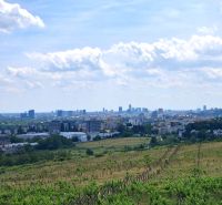 1.BCR | VINICA  S VÝHĽADOM NA MESTO, BRATISLAVA - RAČA - Vinice vo Vtáčikovej ceste v Bratislave - Rači s panoramatickým výhľadom na mesto.