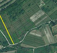 1.BCR | VINICA  S VÝHĽADOM NA MESTO, BRATISLAVA - RAČA - Katastrálna mapa viníc vo Vtáčikovej ceste, Bratislava - Rača, s vyznačeným pozemkom.