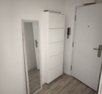 Prenájom 2 izbového bytu v blízkosti Horského parku - Mozartova ul. - Vstupná chodba s bielym nábytkom a podlahou s dreveným dekorom v 2-izbovom byte.