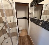 1 izbovy byt Topoľčany  - Kompaktná kúpeľňa v 1-izbovom byte s podlahou s dreveným dekorom a sprchovacím kútom.