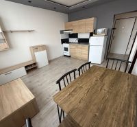 1 izbovy byt Topoľčany  - Kuchyňa a jedálenský kút s podlahou s dreveným dekorom v 1-izbovom byte.
