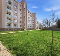 Na prenájom veľkometr. 1-izb. byt s loggiou, Šamorín - Bytovka v Šamoríne so zeleňou z predzáhradky a chodníkom vedľa budovy.