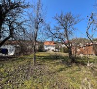 ROVINATÝ POZEMOK  S PRÍSTUPOM Z DVOCH STRÁN+ RODINNÝ DOM – B. Bystrica - Záhrada v okrese Banská Bystrica okolo rodinného domu s trávnikom a stromami.