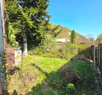 : Záhrada s chatkou, Košice – Krásna, 716 m², elektrina - Záhrada v mestskej časti Krásna na Ulici 1. mája s ihličnanmi a trávnikom.