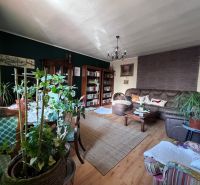  REZERVOVANÝ !!!Rodinný  dom  pod horami – Švošov, okres Ružomberok  - Obývačka v rodinnom dome s pohovkou, knihovničkou a rastlinami, podlaha s dreveným dekorom.