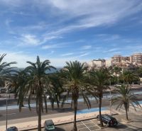 Exkluzívna ponuka – apartmán-byt v „Malom Miami Španielska  - Palmy lemujú cestu pri Rekreačnom apartmáne v La Manga del Mar Menor.