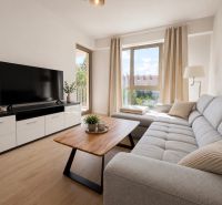 NOVOSTAVBA , BAŠTOVÁ 48 M2 2-IZBOVÝ BYT S LOGGIOU  - Obývacia izba v 2-izbovom byte s pohovkou a podlahou s dreveným dekorom.