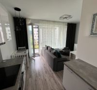 Prenájom Novostavba 1 izb. byt Hany Ponickej, Bratislava - Lamač. - 1-izbový byt s podlahou s dreveným dekorom, kuchyňou, pohovkou a priamym vstupom na terasu.