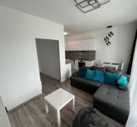 Prenájom Novostavba 1 izb. byt Hany Ponickej, Bratislava - Lamač. - Obývacia izba v 1-izbovom byte s podlahou s dreveným dekorom a šedou sedačkou.
