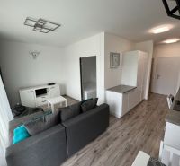 Prenájom Novostavba 1 izb. byt Hany Ponickej, Bratislava - Lamač. - Obývacia izba s gaučom, podlahou s dreveným dekorom a kuchynským kútom v 1-izbovom byte.