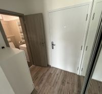 Prenájom Novostavba 1 izb. byt Hany Ponickej, Bratislava - Lamač. - Interiér so vstupnými dverami, posuvnou skriňou a podlahou s dreveným dekorom v 1-izbovom byte.