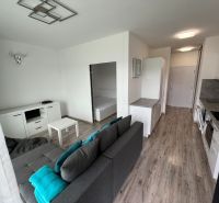 Prenájom Novostavba 1 izb. byt Hany Ponickej, Bratislava - Lamač. - Obývačka v 1-izbovom byte s kuchyňou, pohovkou a podlahou s dreveným dekorom.