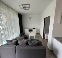 Prenájom Novostavba 1 izb. byt Hany Ponickej, Bratislava - Lamač. - Obývačka v 1-izbovom byte s podlahou s dreveným dekorom a sivou sedačkou.
