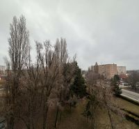 ☎️ 0918/197 701 Na prenájom garsónka s balkónom aj s výťahom   v centr - Zasnežené stromy a sídlisko v Dunajskej Strede, blízko rekreačného apartmánu.