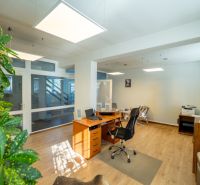 PREVÁDZKOVÝ AREÁL– HALA, ADMINISTRATÍVA, POZEMOK 1405 m² - B. Bystrica - Kancelária s podlahou s dreveným dekorom, rastlinami a moderným osvetlením. Zvláštne nehnuteľnosti.