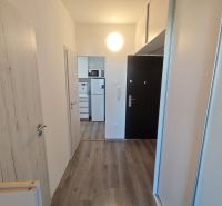 Na prenájom 1 izbový byt, 34 m2, Bratislava, Petržalka, Lachova ulica - Chodba v 1-izbovom byte s podlahou s dreveným dekorom a vstavanou skriňou.