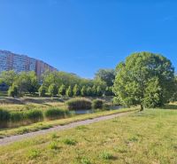 Na prenájom 1 izbový byt, 34 m2, Bratislava, Petržalka, Lachova ulica - Sídlisko s bytovými domami, zeleňou a chodníkom v Petržalke na Lachovej.