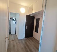 Na prenájom 1 izbový byt, 34 m2, Bratislava, Petržalka, Lachova ulica - Vstupná chodba so vstavanými skriňami a podlahou s dreveným dekorom v 1-izbovom byte.