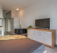 I Slnečnice – Zóna mesto moderný 1-izb byt s loggiou - Obývacia izba v 1-izbovom byte s kuchynskou linkou, TV, chladničkou a stolom.