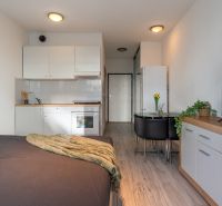 I Slnečnice – Zóna mesto moderný 1-izb byt s loggiou - 1-izbový byt s kuchyňou, jedálenským stolom a podlahou s dreveným dekorom.