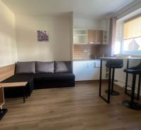 PPRENÁJOM APARTMÁNOVÉHO BYTU ONDRÁŠOVÁ ID: P2120BD - Obývacia izba s kuchynským kútom, podlaha s dreveným dekorom, 2-izbový byt.