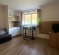 PPRENÁJOM APARTMÁNOVÉHO BYTU ONDRÁŠOVÁ ID: P2120BD - Obývacia izba s kuchynským kútom v 2-izbovom byte, podlaha s dreveným dekorom.