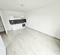 PRENÁJOM 1 IZBOVÝ BYT /34 M2/ SEVER / BALKÓN/ PIVNICA - Kuchynská linka a podlaha s dreveným dekorom v 1-izbovom byte.