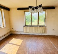 Na predaj 6-izbový rodinný dom (dvojdom) v Pažiti, pozemok 1445 m² - Izba v rodinnom dome s podlahou s dreveným dekorom a veľkými oknami.