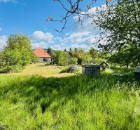 Na predaj 6-izbový rodinný dom (dvojdom) v Pažiti, pozemok 1445 m² - Zeleň, stromy a rodinný dom v obci Pažiť s modrou oblohou v pozadí.