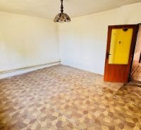 Na predaj 6-izbový rodinný dom (dvojdom) v Pažiti, pozemok 1445 m² - Izba s podlahou s dreveným dekorom a lampou v rodinnom dome.