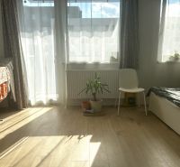 Prenájom 1 izb. byt, NOVOSTAVBA Ivanská cesta, Bratislava II, Trnávka  - Svetlá izba v 1-izbovom byte s podlahou s dreveným dekorom a rastlinou.