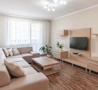 Predaj 3i bytu 84m2 - dva balkóny , Nábrežná v NZ - Obývacia izba v 3-izbovom byte s pohovkou, televízorom a podlahou s dreveným dekorom.
